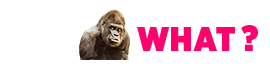 logo-header
